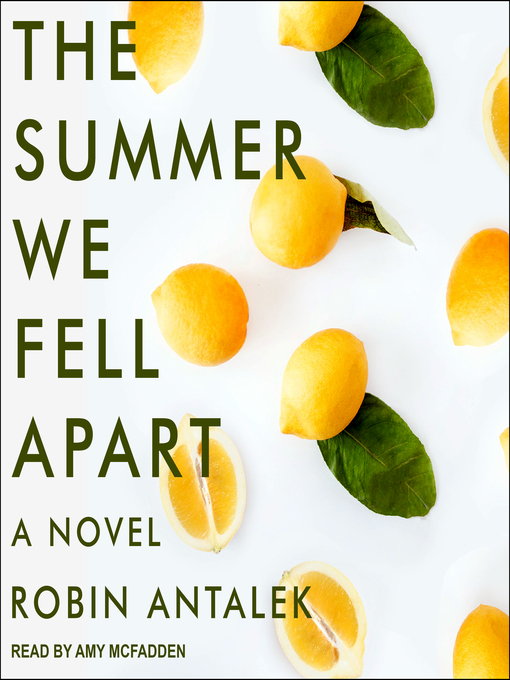 Title details for The Summer We Fell Apart by Robin Antalek - Available